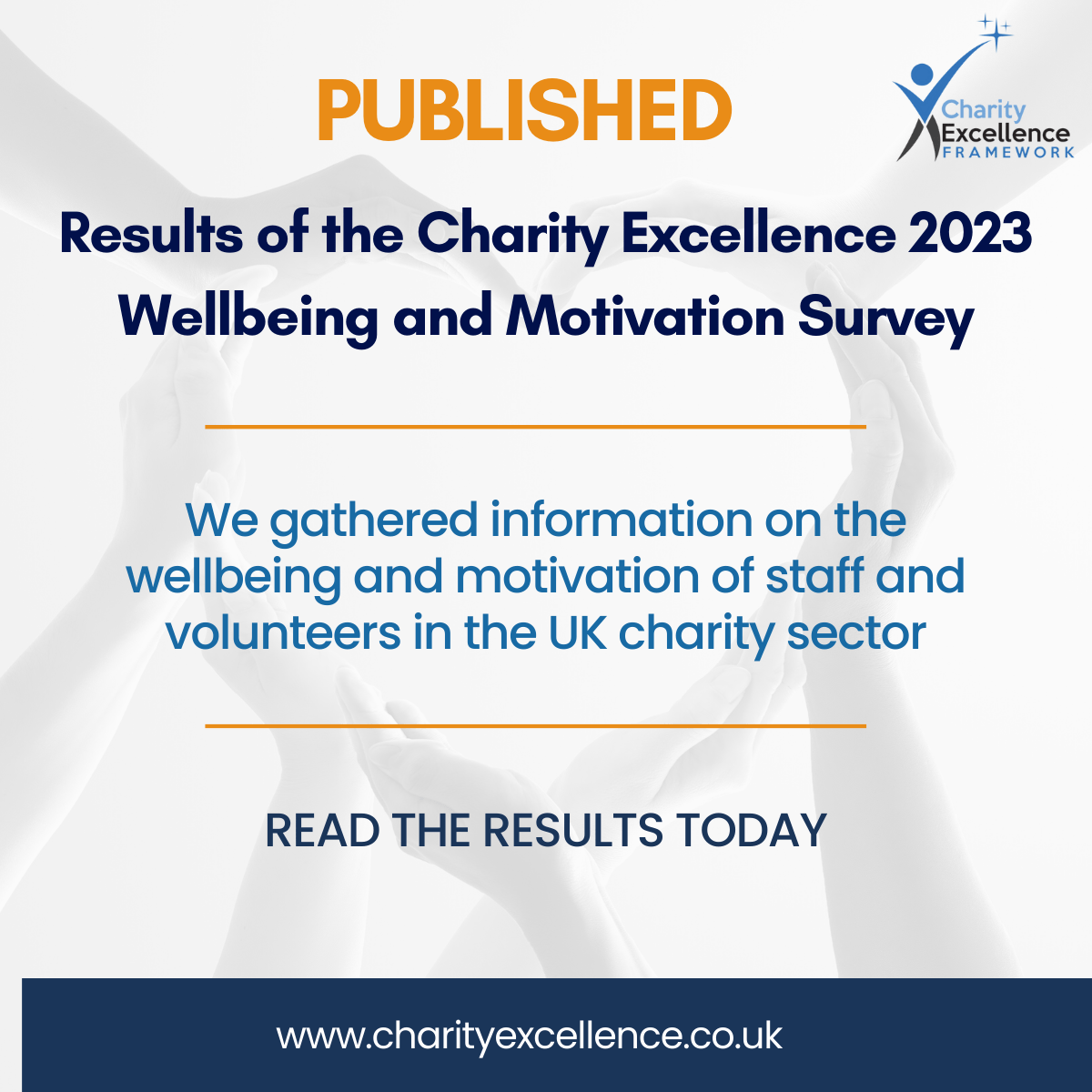 UK Charity Sector Staff & Volunteer Survey 2023