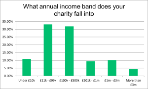 charity-trustee-survey-2024-income-bands