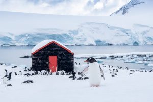 Port-Lockroys-boatshed-c-UK-Antarctic-Heritage-Trust_Jerome-Viard