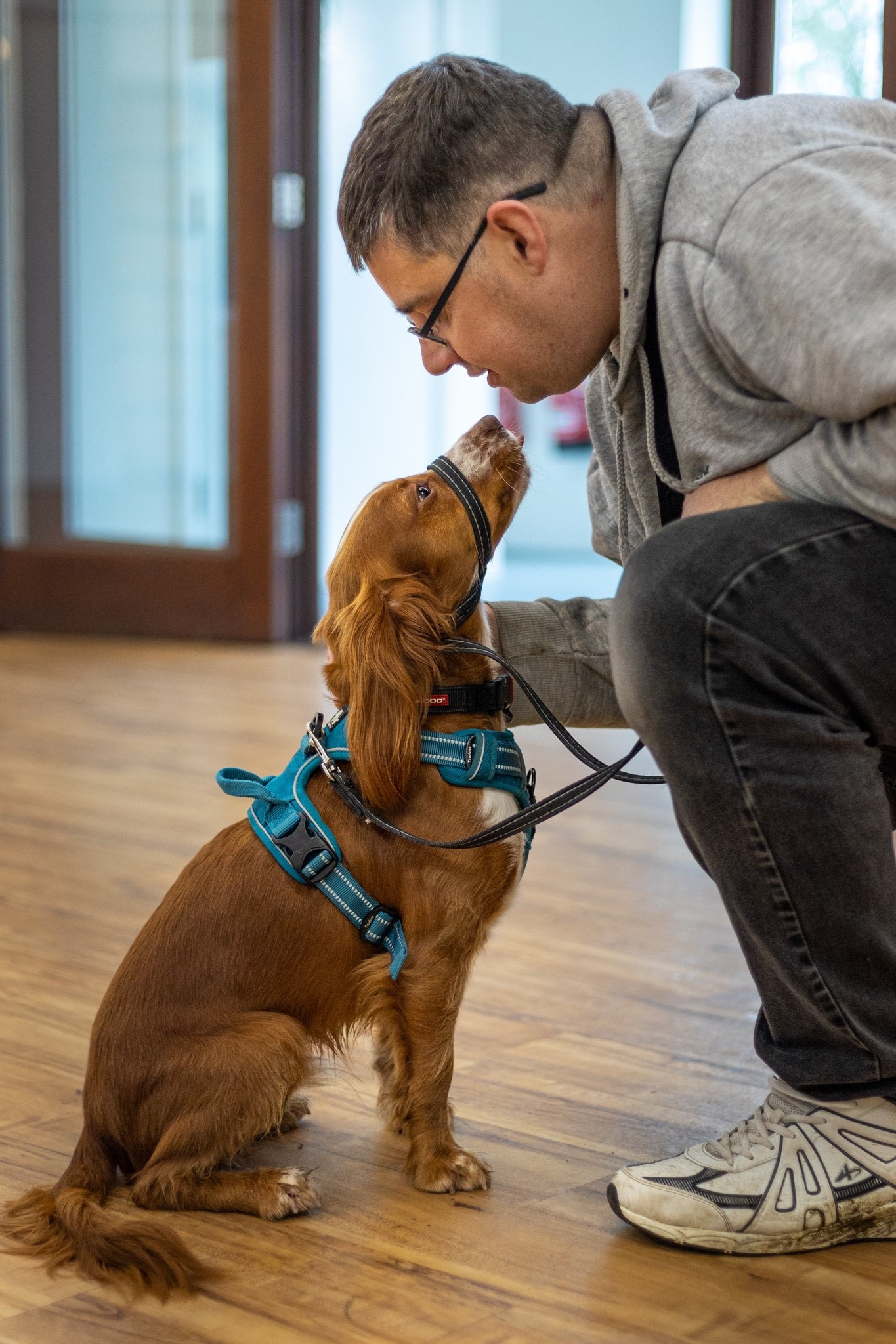 service-dogs-uk